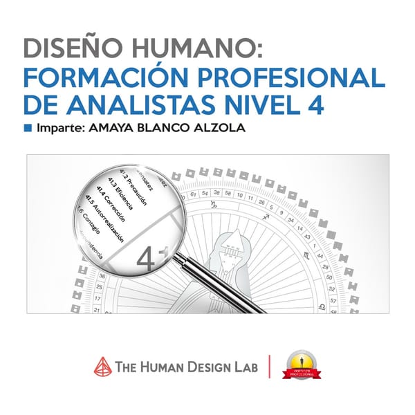Nivel 4 de Formación Profesional de Analistas